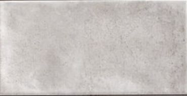 CAMDEN GREY 10x20