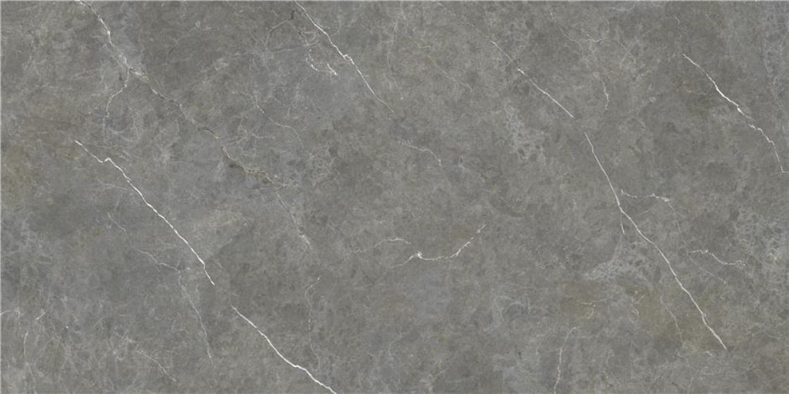 CAN5BERIDXAA Керамогранит Firenze Gris Rect 60x120