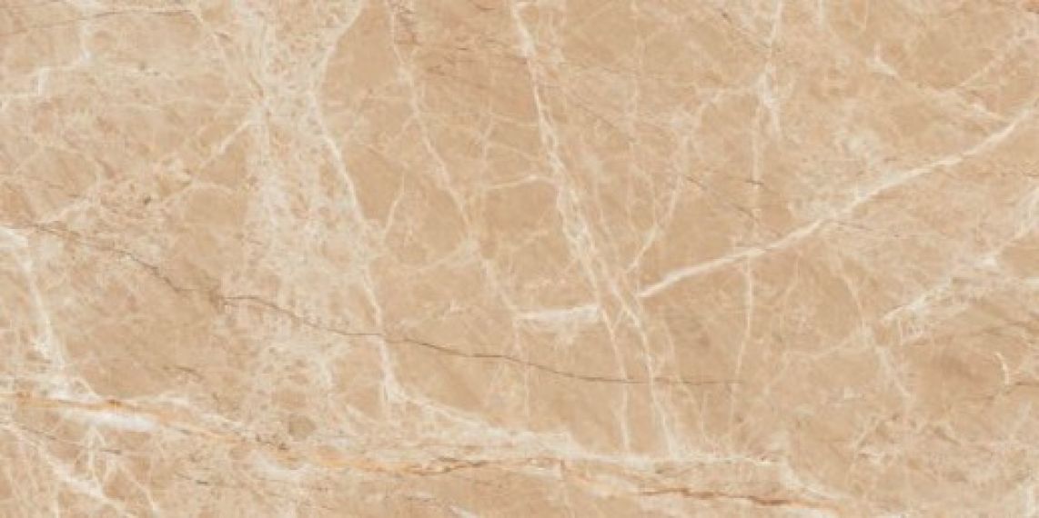 CAPUCCINO POLISHED 60x120
