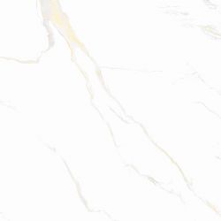 CARRARA Classic Gold Polished 60x60