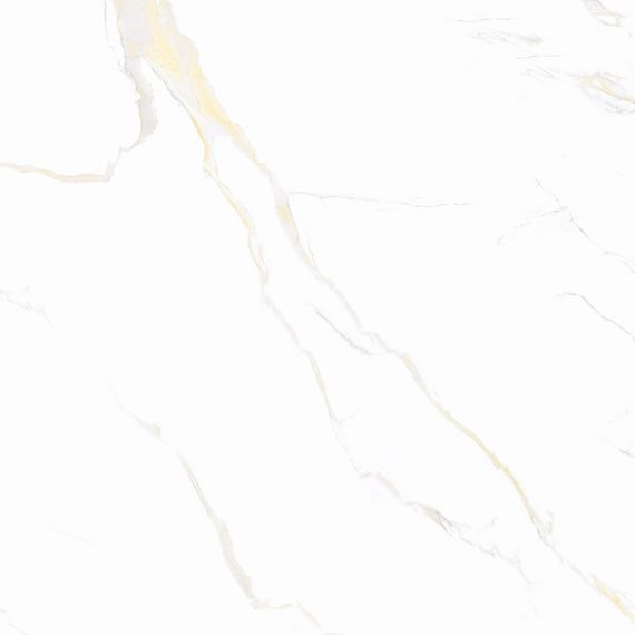 CARRARA Classic Gold Polished 60x60