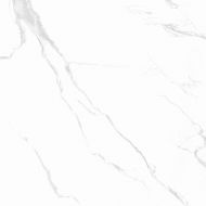 CARRARA Classic Grey Polished 60x60