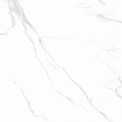 CARRARA Classic Grey Polished 60x60