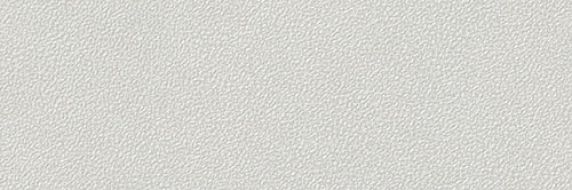 CARVE GRIS 25x75