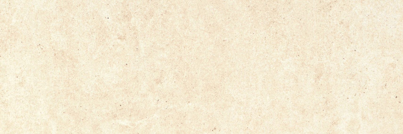 CEMENT SC.EL.VC.SL 300x100