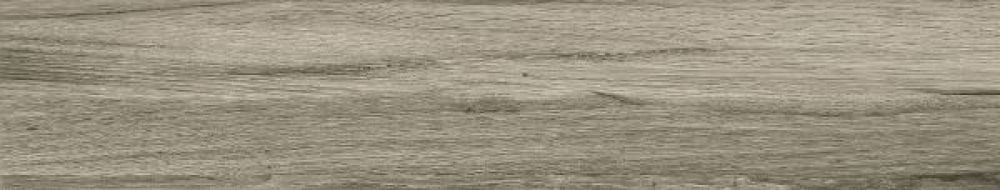 CEYLAN GRIS MATE 22*118