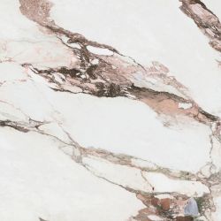 CH0112L Керамогранит Calacatta Pink SQ.Lapp 120x120