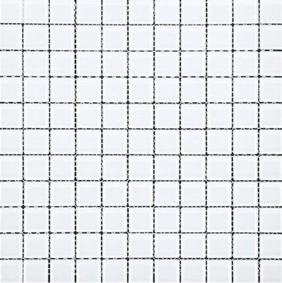 CH4012S (23x23) 300x300x4