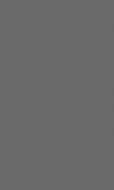 CL03 Темно-серая 20x33