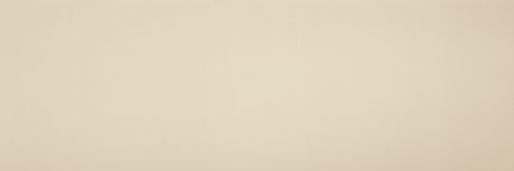 COLOR CL.CL.AV.NT 300x100