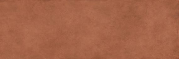 COLOR CLC.PGM.CNN.NT 300x100