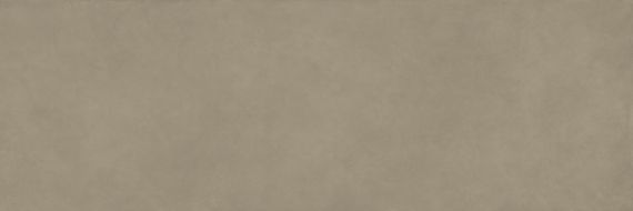 COLOR CLC.PGM.LCH.NT 300x100