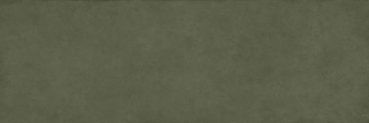 COLOR CLC.PGM.MSS.NT 300x100