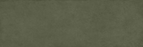 COLOR CLC.PGM.MSS.SL 300x100