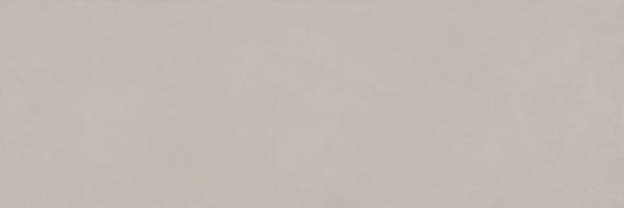 COLOR CLC.PGM.MST.NT 300x100