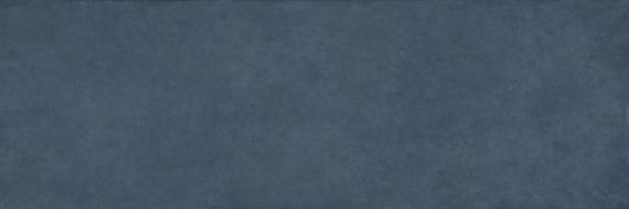 COLOR CLC.PGM.OCN.NT 300x100