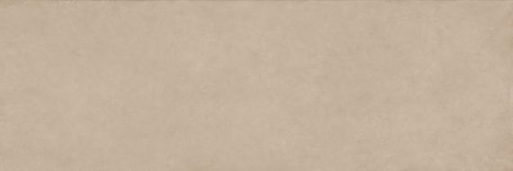 COLOR CLC.PGM.PLT.NT 300x100