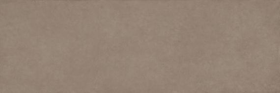 COLOR CLC.PGM.PMC.SL 300x100