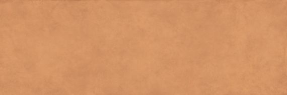 COLOR CLC.PGM.SNS.NT 300x100