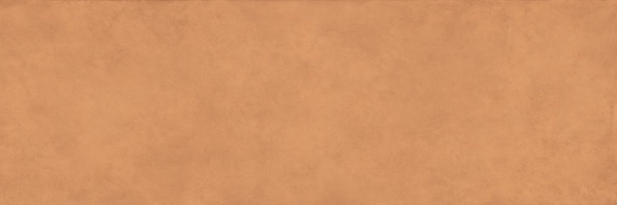 COLOR CLC.PGM.SNS.NT 300x100