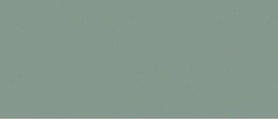 COLOR CLF.AVA.LMSG.NT 280x120