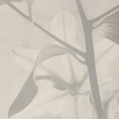CONCRETE 1D 59,8x59,8