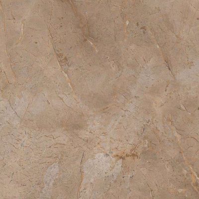 CR109 Керамогранит Empressa Brown carving 60x60