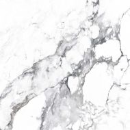 CR4006-A Керамогранит Borghini Silver Carving 60x60