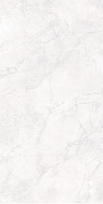 CR4007-A Керамогранит Arctic White Carving 60x120