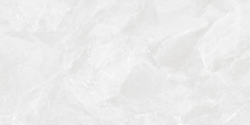 CR6012G0401R Керамогранит Regnum Bianco светло-серый матовый 59,5х119,1