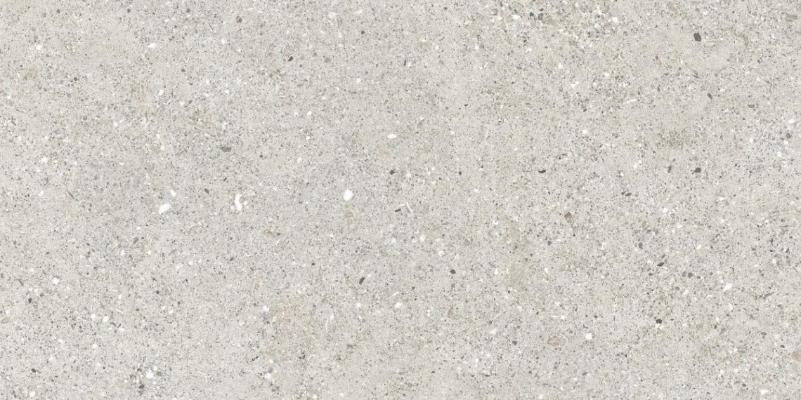 CR6012G0471R Керамогранит Granito Grigio серый матовый 59,5х119,1