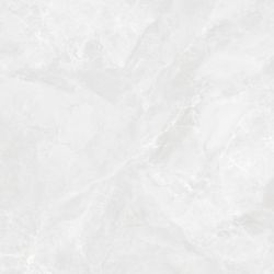 CR6060G0391R Керамогранит Regnum Bianco светло-серый матовый 59,5х59,5