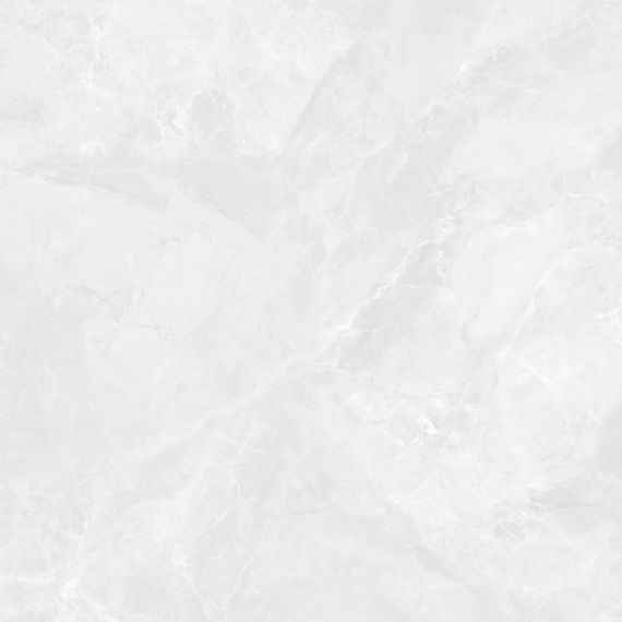 CR6060G0391R Керамогранит Regnum Bianco светло-серый матовый 59,5х59,5