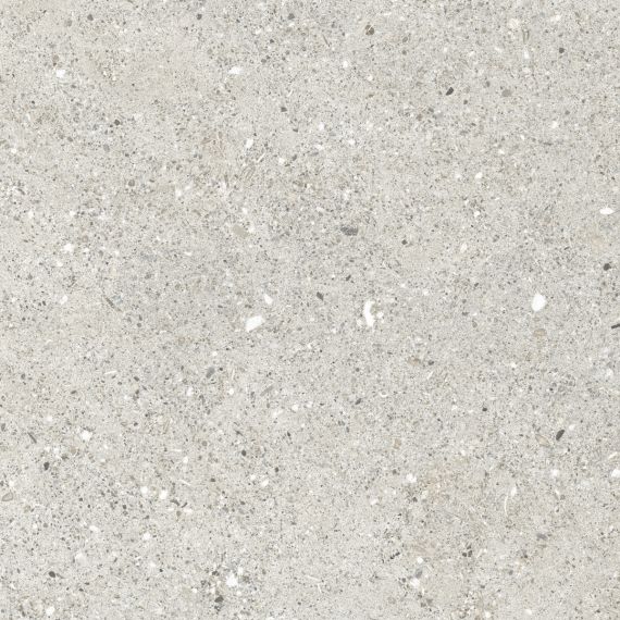 CR6060G0461R Керамогранит Granito Grigio серый матовый 59,5х59,5