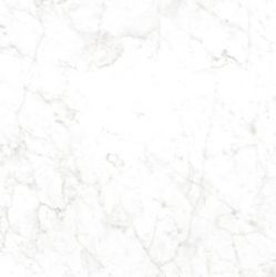 CR6NTT9901M Carrara Bianco 60x60