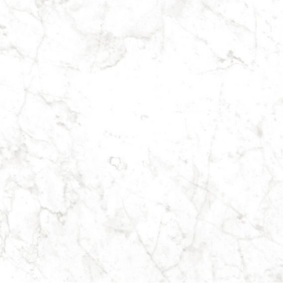 CR6NTT9901M Carrara Bianco 60x60