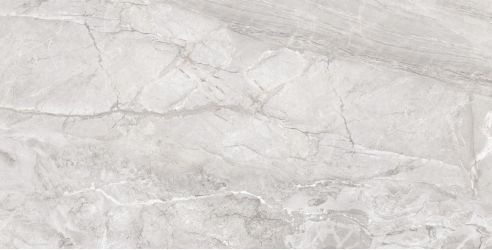 CR9021-A Керамогранит Doxa Silver Grey CR 60x120