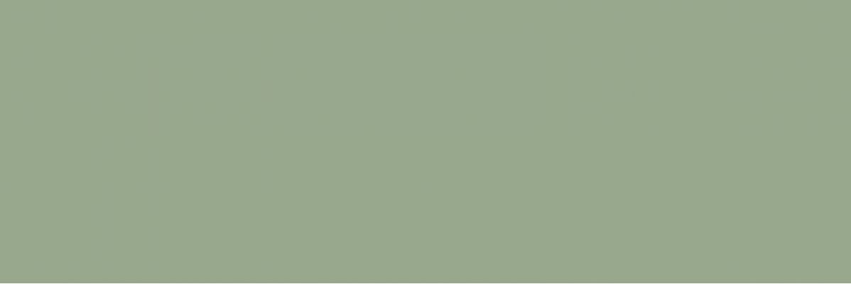 CSASPRGE00 Spring Green 25x75