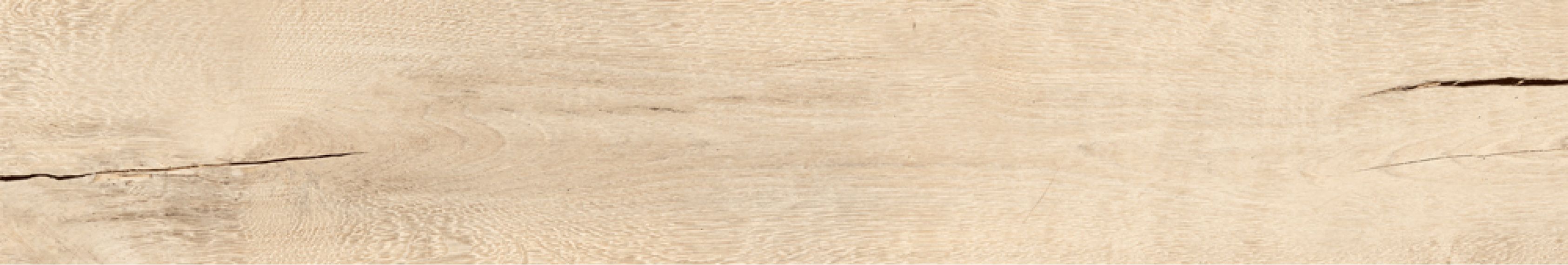 CSATWHOY20 Timewood Honey 20x120