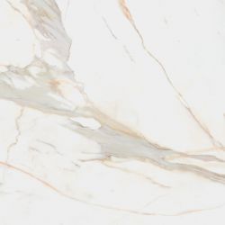 Calacata Gold 1 Compacglass Rect. 60x60