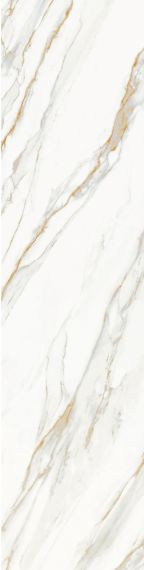 Calacata Gold Honed 800х3200х12