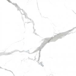 Calacata Grey 80x80