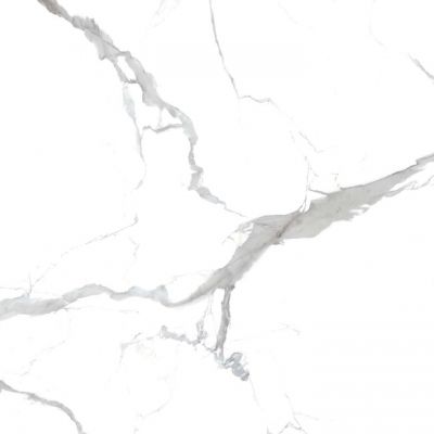 Calacata Grey 80x80