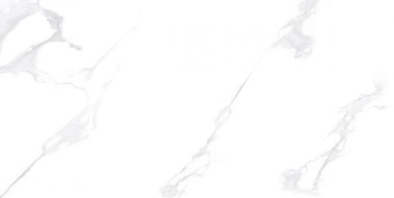 Calacata White Satin Matt 60x120