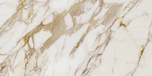 Calacatta Gold Pol. Rect 60x120