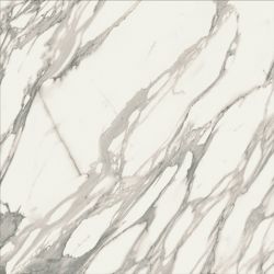Calacatta шампань полированная глазурь 60x60