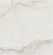 Calacatta Art Silver Lux 60x60