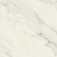 Calacatta Bianco RECT 80x80