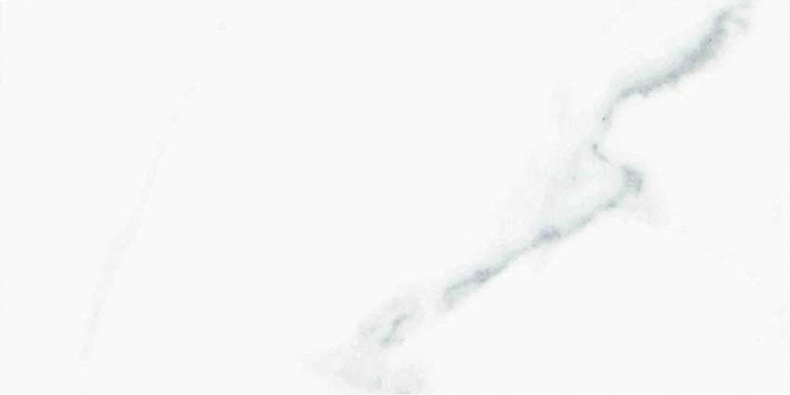 Calacatta Blanco Matt 60x120