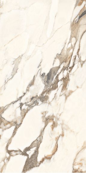 Calacatta Bronze белый полированный 60х120